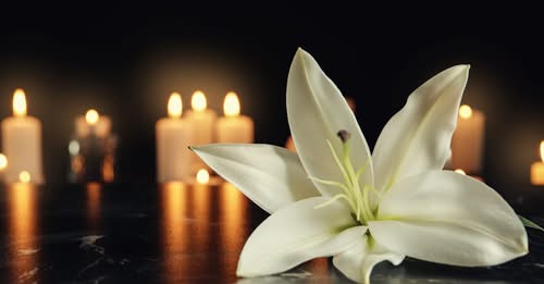 John Capricorn Freedom, CA Death, Obituary
